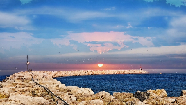 jinnianhui金年会：园林绿化空气污染治理