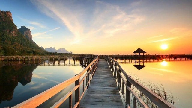 金年会：园林绿化罗勇