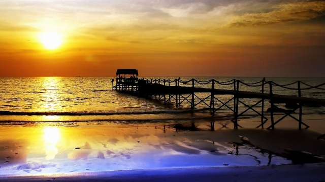 jinnianhui金年会：园林绿化土方开挖