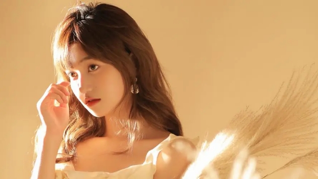 园林绿化和修剪