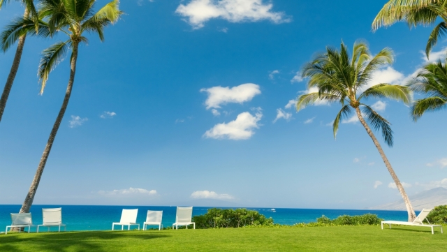 jinnianhui金年会：园林绿化热线