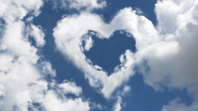 jinnianhui金年会：园林绿化种植根植土