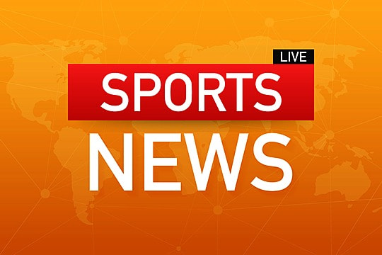 园林绿化什么时候种树苗