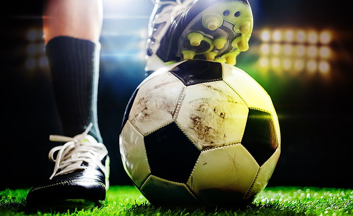 金年会：园林绿化的方式