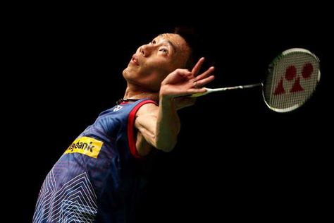 园林绿化修剪成年树