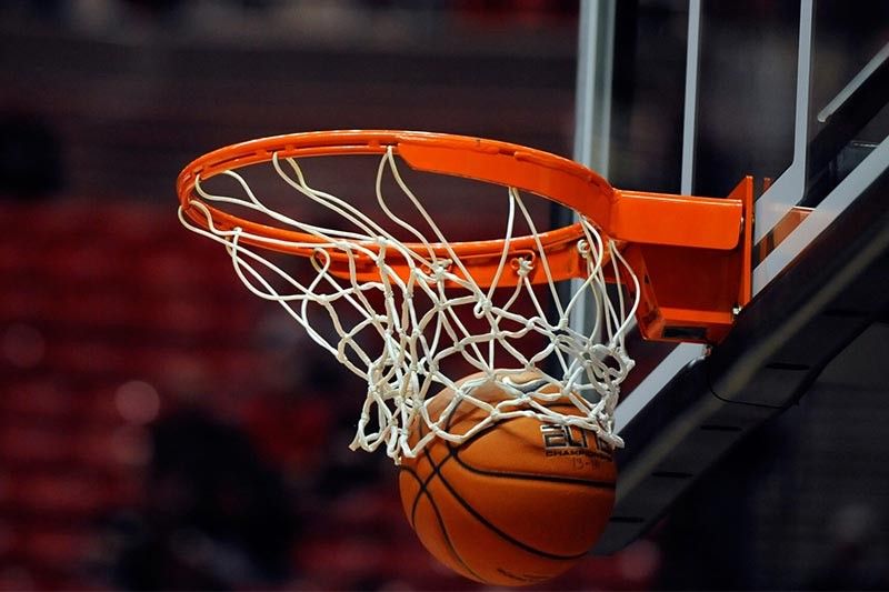 jinnianhui金年会：园林绿化苗木种植以及养护